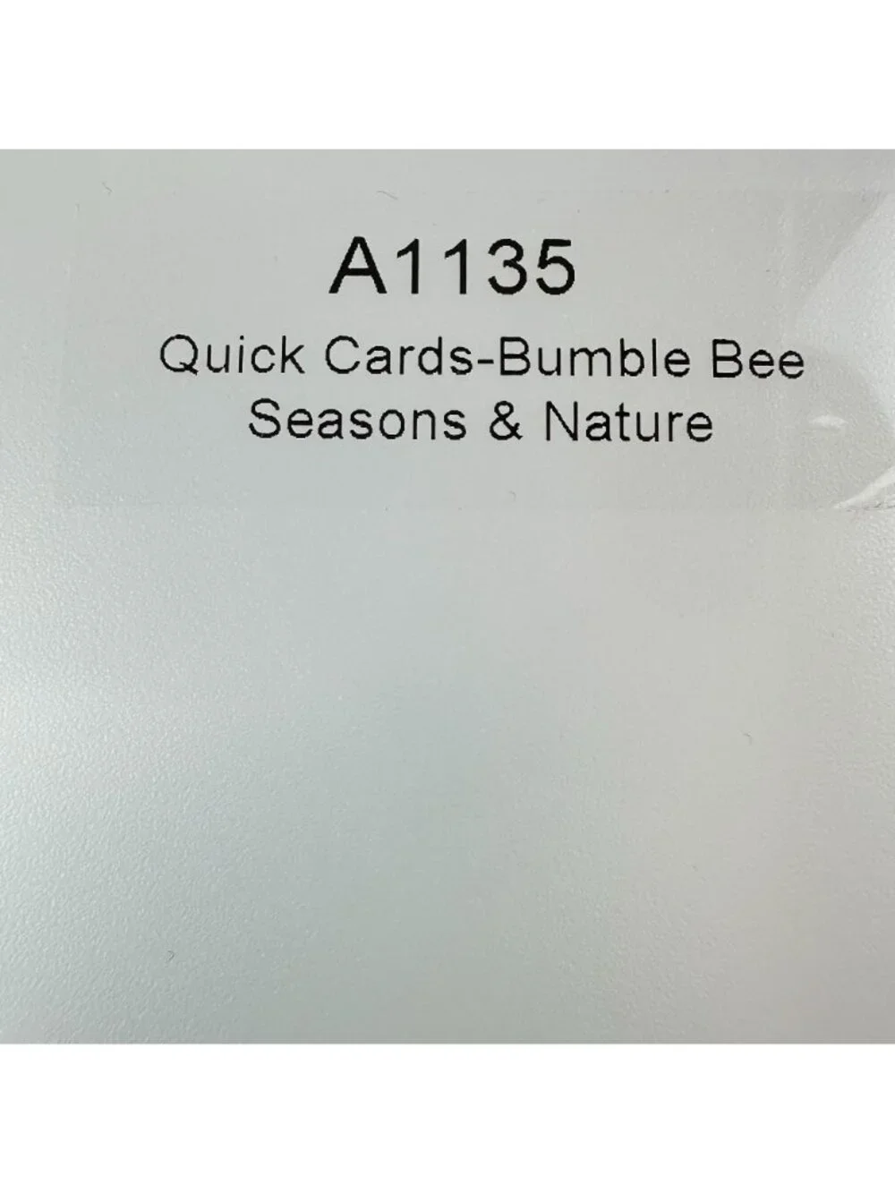 My Acrylix Stamp Set Quick Cards Bumble Bee Seasons & Nature